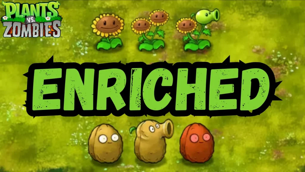 pvz enriched mod